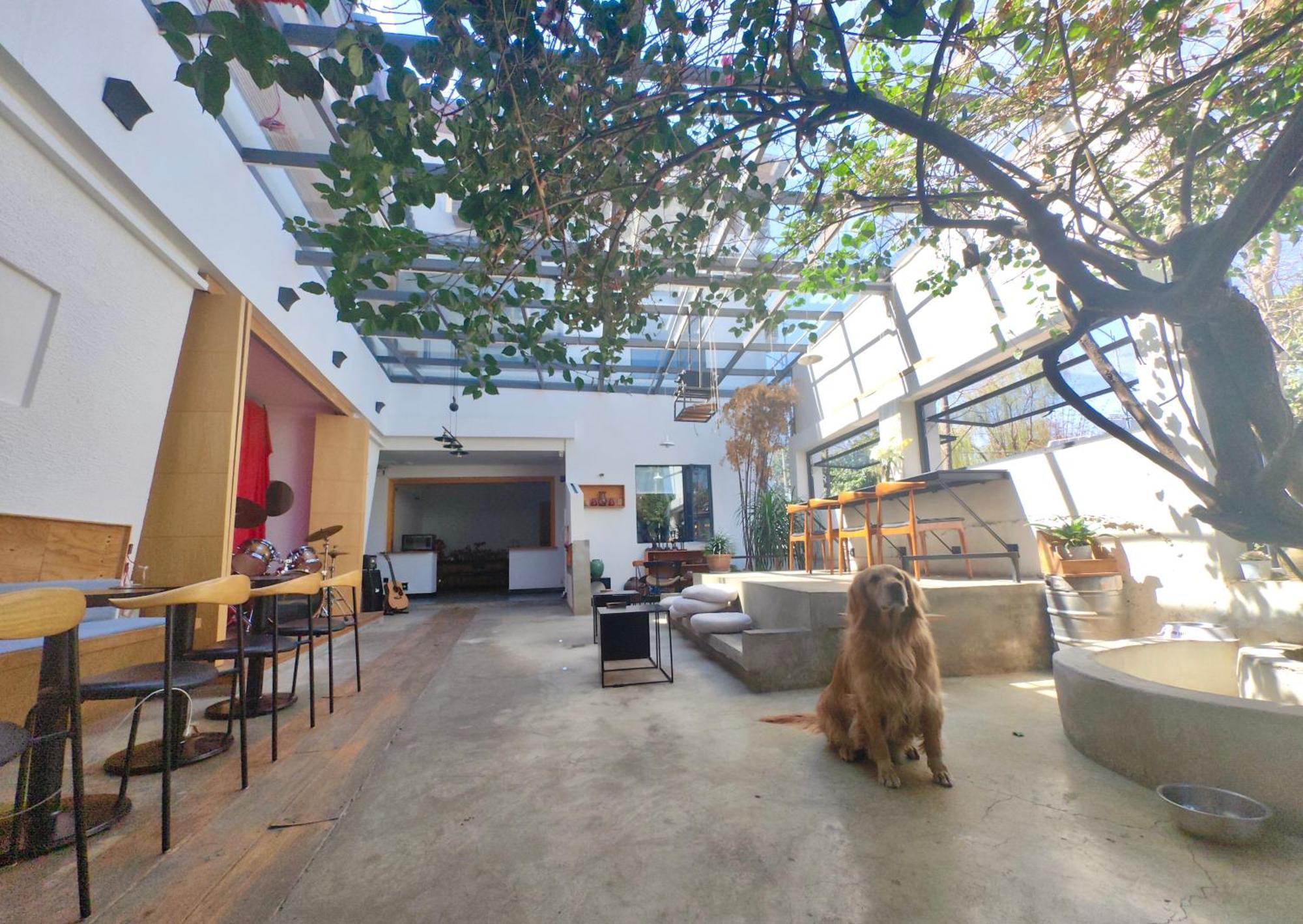 Dali Loft Travelling With Hostel Exteriér fotografie
